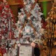 TBR COLAB TREE (FESTIVAL OF TREES) WINS BEST OF SHOW!